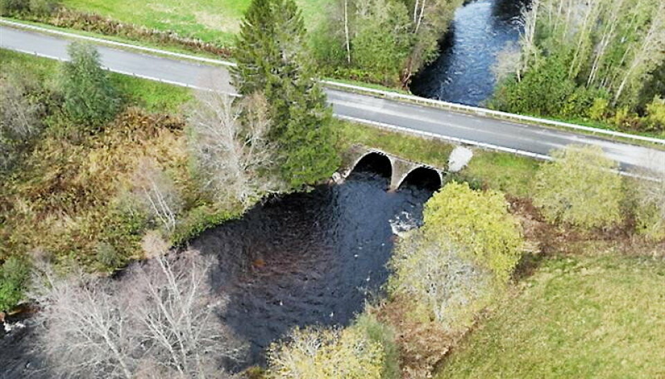 LAUVA BRU: På fylkesvei 6966 i Steinkjer skal denne broen rives og bygges opp på nytt.