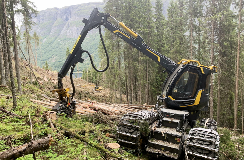 Stupbratt Valdres-hogst