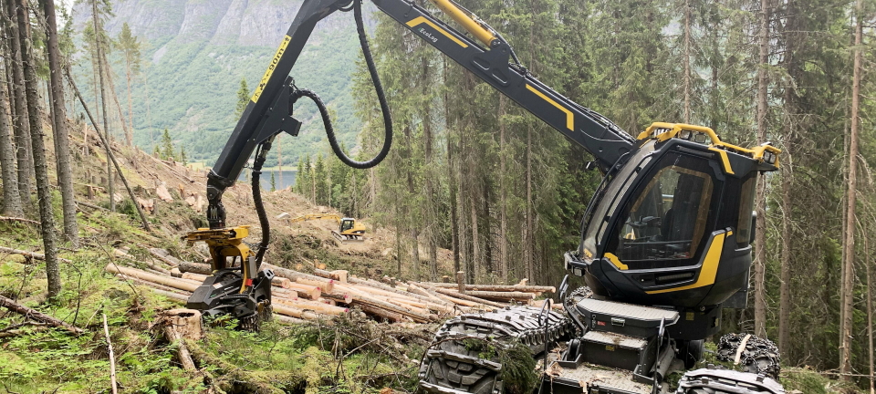 Stupbratt Valdres-hogst