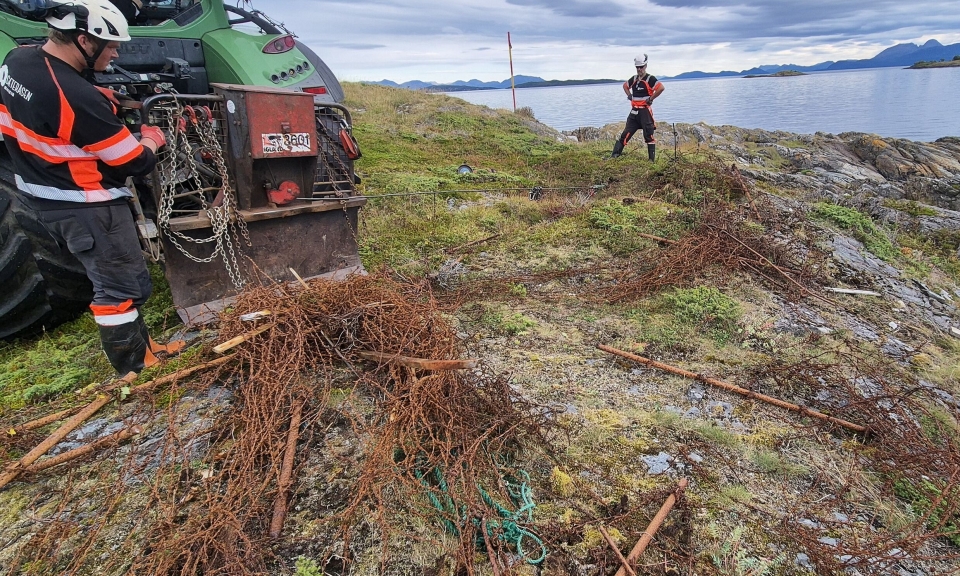 To personer fjerner piggtråd fra fjæra ved hjelp av en traktor.