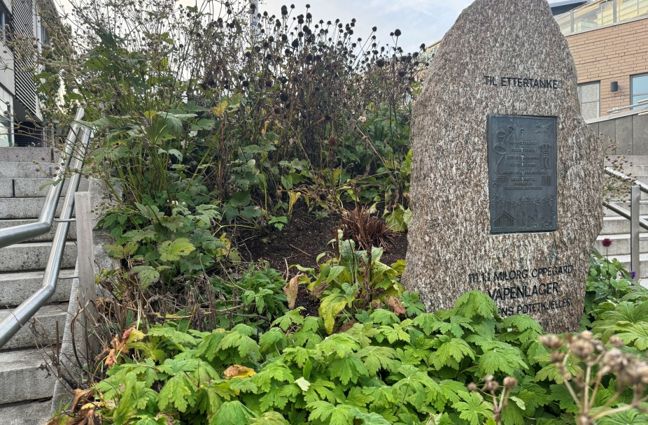 Ser du hvor dette er?