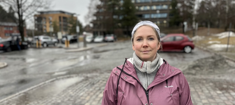 MDG: – Vi trenger ikke en ny runde med kaos