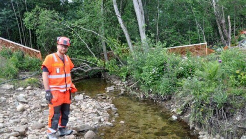 Ytre miljørådgiver Rasmus Arvidson på befaring langs Sellikbekken mandag 26. juni. Utenfor anleggsområdet er det frisk fisk. Ytre miljørådgiver Rasmus Arvidson på befaring langs Sellikbekken mandag 26. juni. Utenfor anleggsområdet er det frisk fisk.