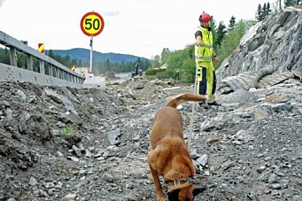 Hunder gir tryggere veiarbeid