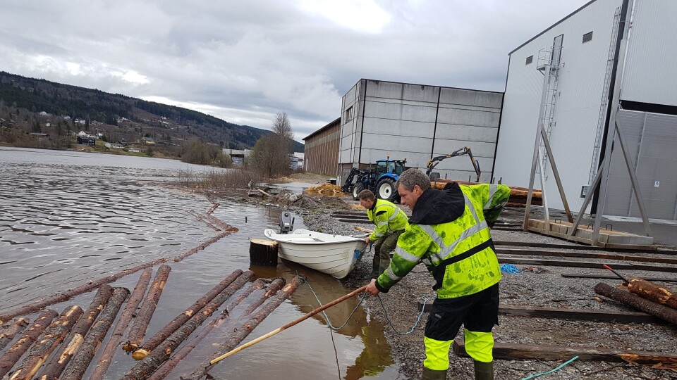 Direktør Runar Pettersen sier at vannstanden i elva ved Moelven Trysil har steget med over 2,5 meter på under ett døgn.