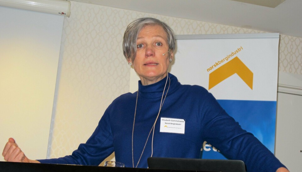 - Vi representerer en bransjen som er opptatt av å formidle og lære, sier generalsekretær Elisabeth Gammelsæter.