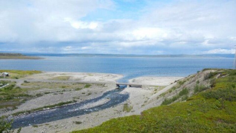 Nyelv bru skal etter planen være ferdig neste høst.