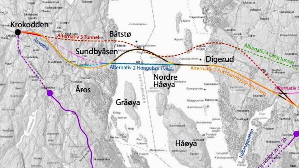 Statens vegvesen går for at riksvei 23 skal krysse Oslofjorden via bruer over Nordre Håøya. Se hele illustrasjonen og fyldigere begrunnelse for vurderingene ved å trykke på lenken i artikkelen.