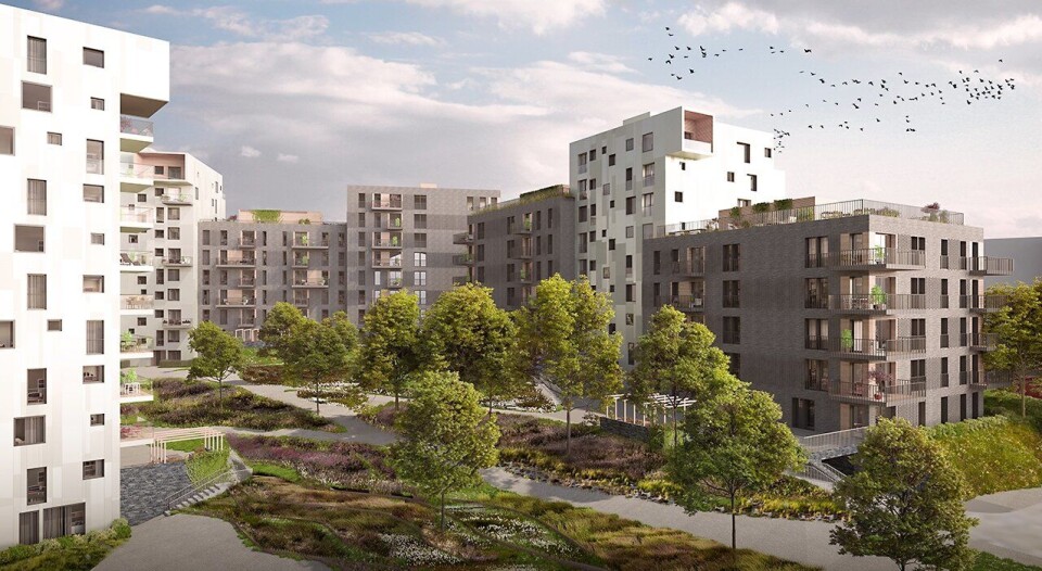 Røakollen i Oslo.