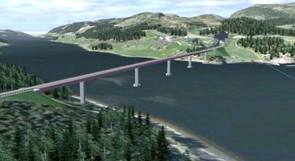 Brua på fylkesvei 17 over Beitstadsundet blir ei stålkassebru med samvirkende betongdekke i seks spenn. Den blir 580 meter lang.
