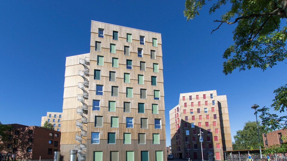 Moholt 50|50, Trondheims nyeste studentby, har Kebony-kledning.