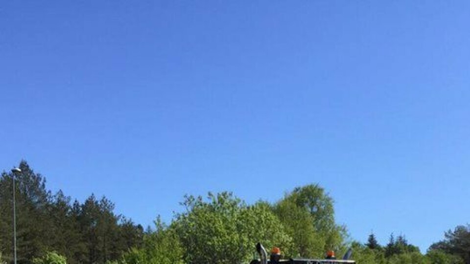 Pyntet til fest