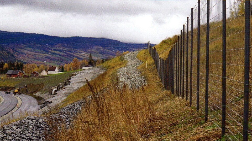 Langs hele nye E6’en fra Frya til Sjoa i Gudbrandsdalen bygges det viltgjerder.