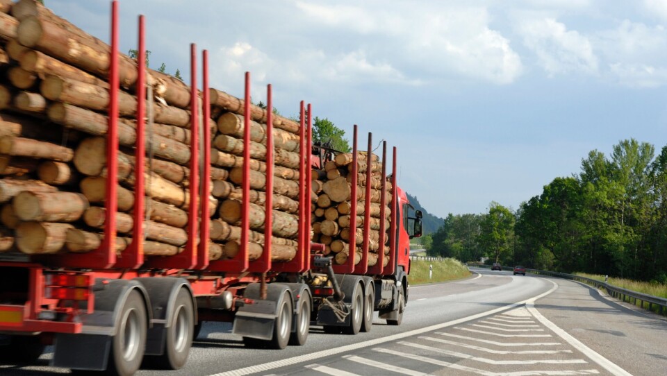 Svært få tømmerbiler går i 164 km/t i oppoverbakker. Det har svensk politi innsett.