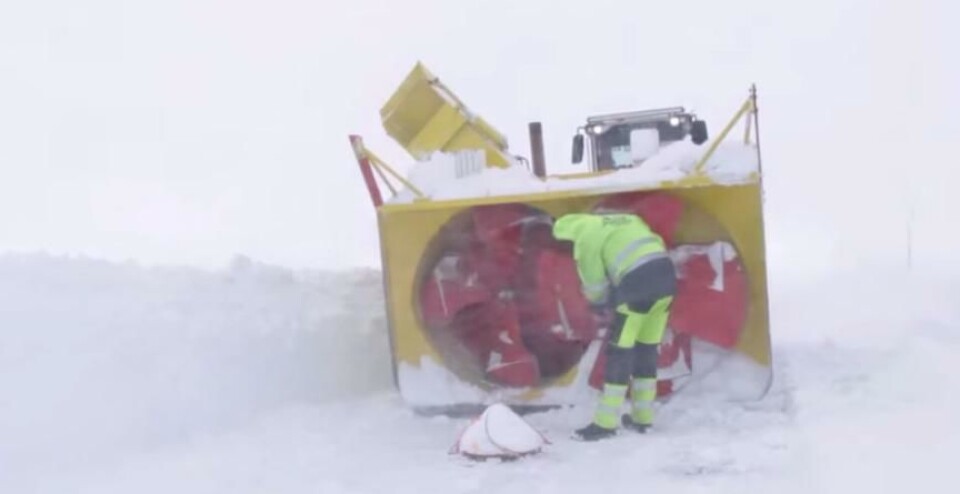 Våråpning på Valdresflye
