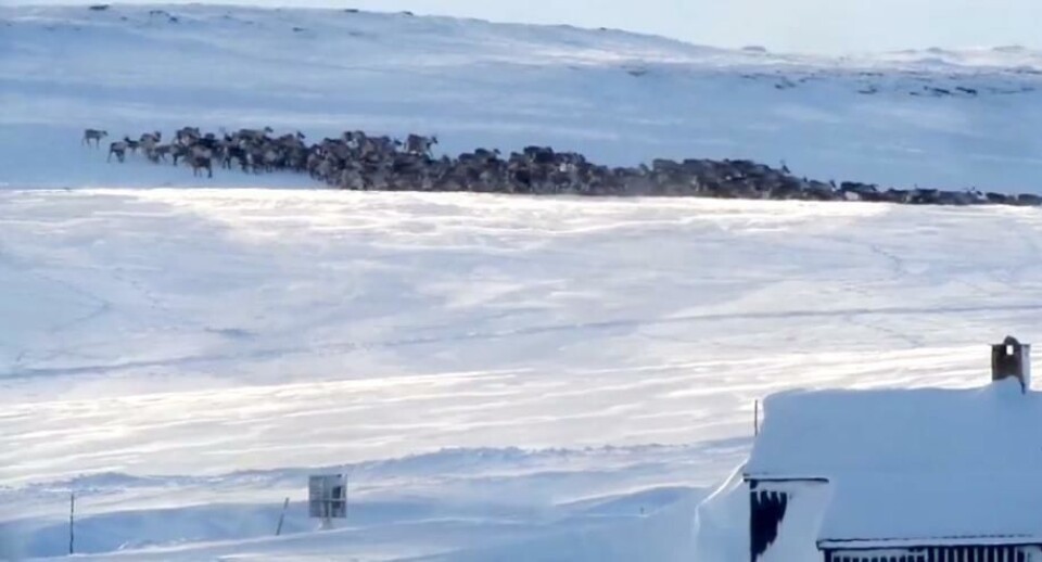 Anbefaler tunnel under Hardangervidda