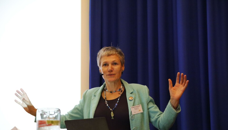 KRITISK: Generalsekretær Elisabeth Gammelsæter i NOrsk Bergindustri mener det er for mye politisk snakk og for lite handling fra den norske regjeringen.