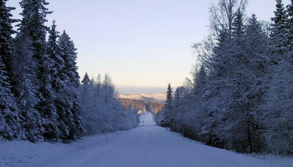 Illustrasjonsbilde av vintervei nord i Sverige.