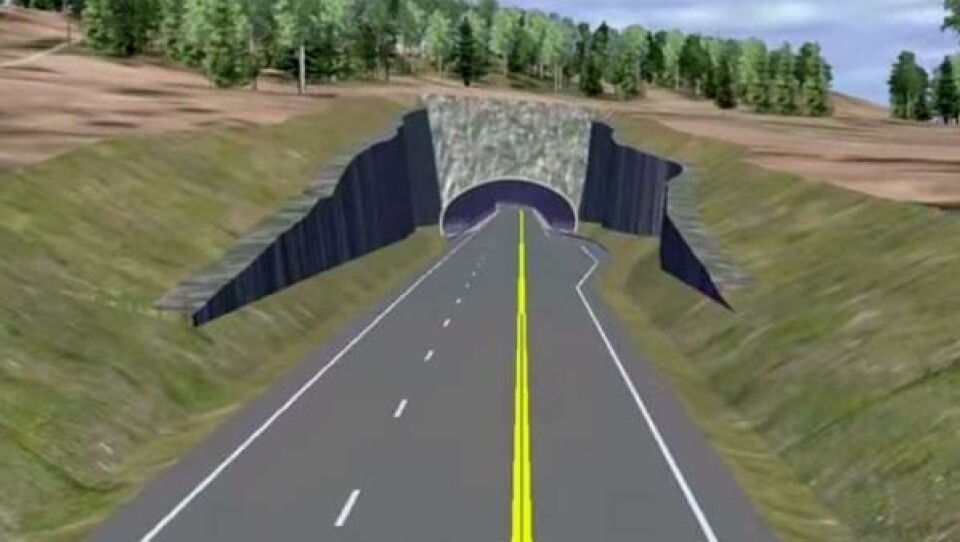 Hvem vil bygge vei i Snilldalen?