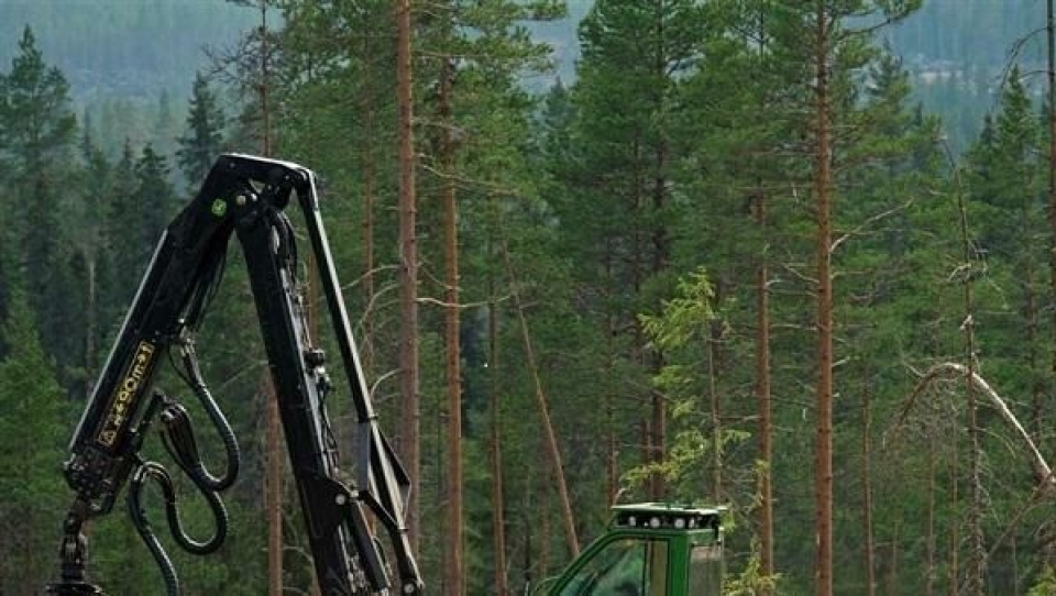 Norske skogsmaskinførere sliter mer med muskeplager enn sine franske kolleger viser en studie.
