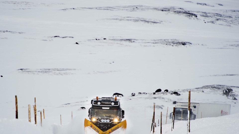 Velger Hardangervidda for tungtransporten.
