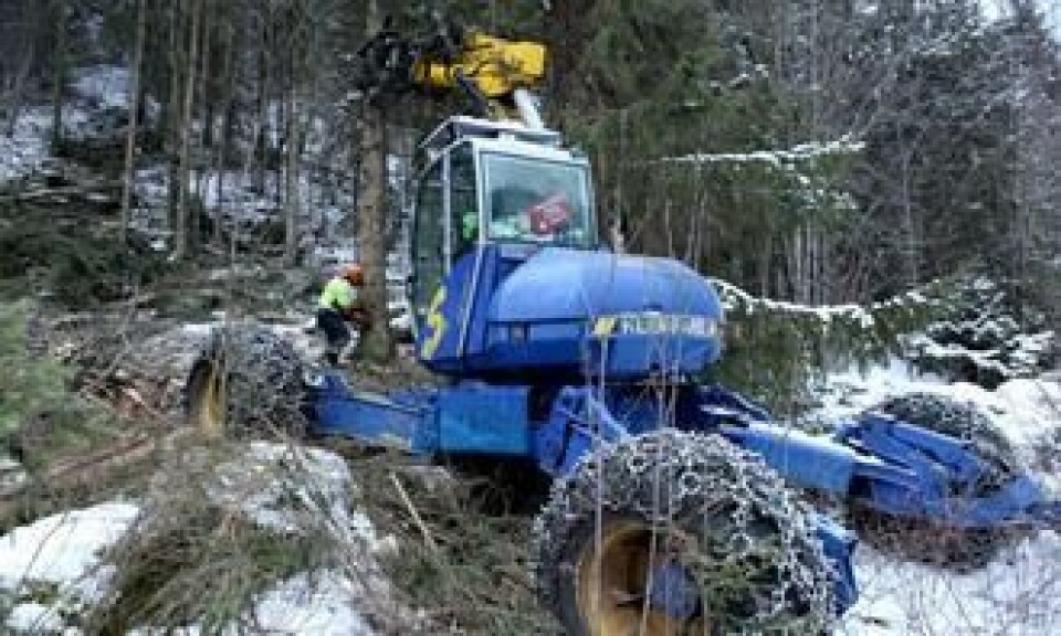 Vidar Dalbak feller et tre som er for grovt for maskinen. Maskinfører Roar Nyvoll hjelper til med å felle treet i ønsket retning.