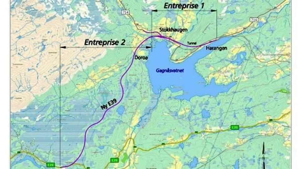 Mange vil bygge ny E39