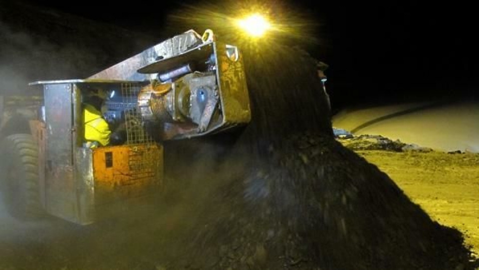 Kull fra Lunckefjell