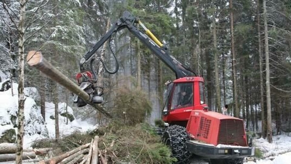 Skogsentreprenør Magne Wik og hans Valmet 941 (24 tonn) tar de første buskene på ei skogsdrift på 700 m3 i Våler i Østfold.