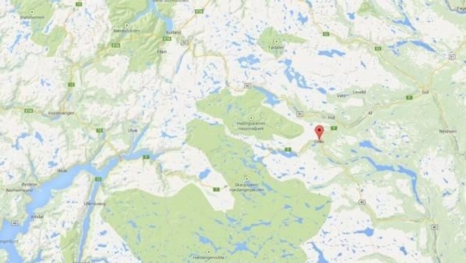 Får kritikk etter Geilo-ulykken