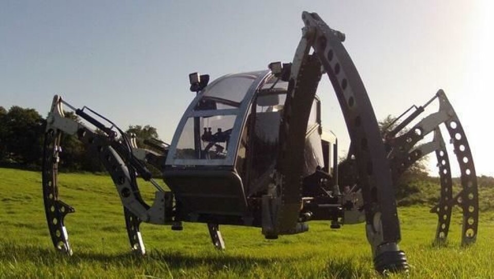 Mantis-edderkoppen på 1,9 tonn tar en spasertur over engen.