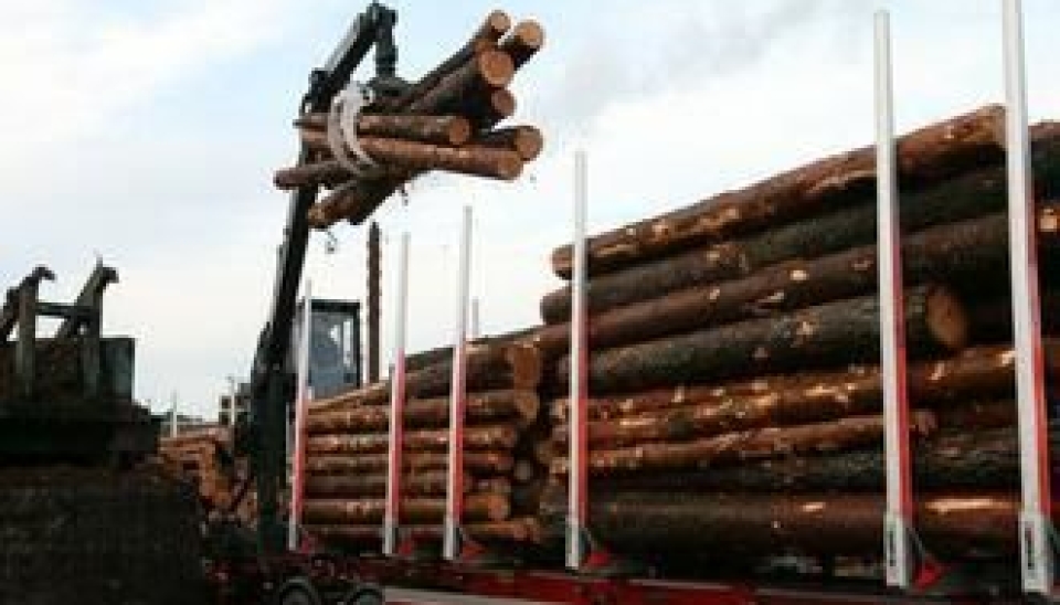 Lossing av tømmer er en viktig del av hverdagen i Rømskog Tømmertransport. Her leveres tømmer til Moelvens anlegg i Årjäng.
