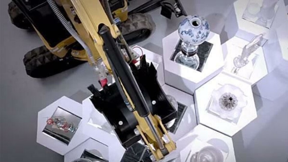 Cat i porselensbutikk