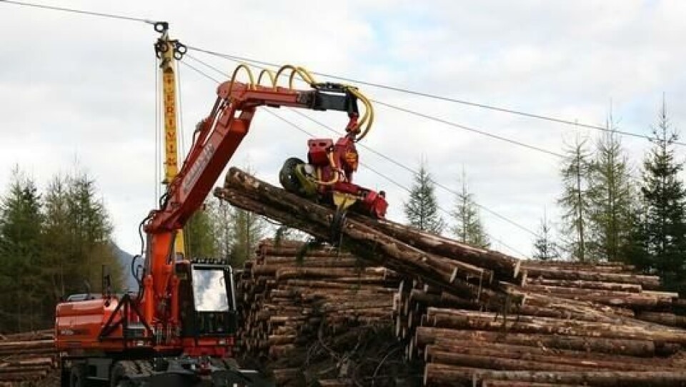 Hjulgraveren Doosan DX210W (22 tonn) er ustyrt med teleskopstikke og Woody 600-aggregat og kappingen går unna så spruten står. Til venstre venter den sjølgående løpekatten med to nye grantrær.