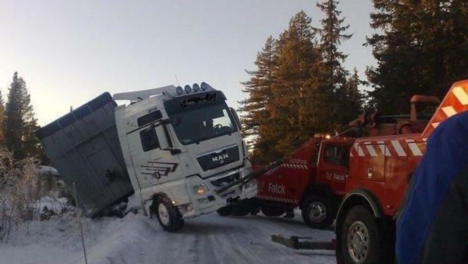 Laksenæringen kan bidra til å hindre slike uhell hvis de blir med og spleiser på veibyggingen.