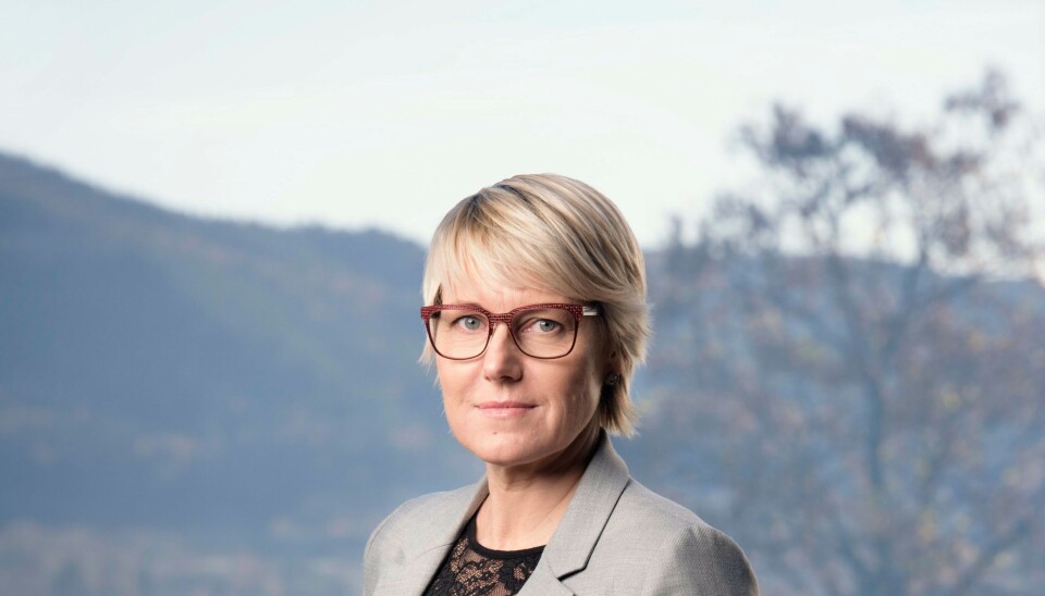 Fylkesrådsleder i Nord-Trøndelag fylkeskommune, Anne Marit Mevassvik.