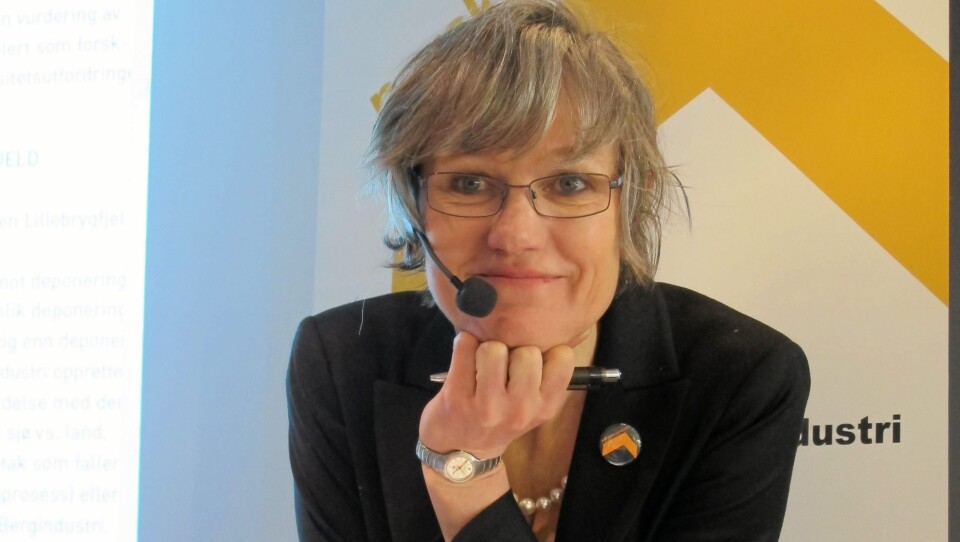 Elisabeth Gammelsæter går av som generalsekretær i Norsk Bergindustri men fortsetter videre i sekretariatet som spesialrådgiver.