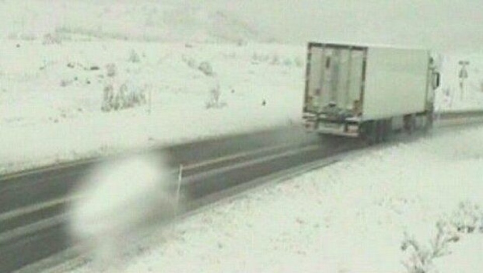 Laksevogntog skaper trafikkfarlige veier.