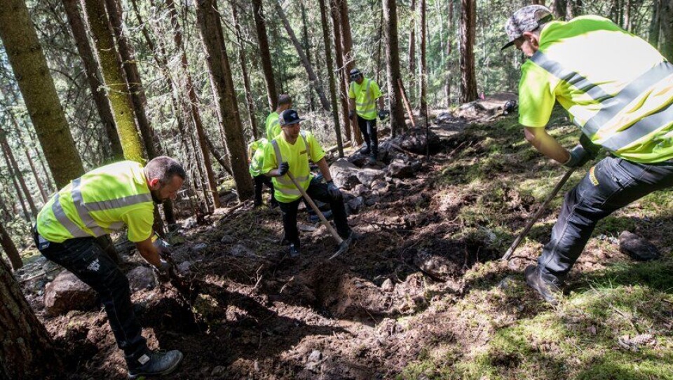 Bærekraftig er et viktig stikkord når stibyggerne er ute i skogen og bygger sykkelstier med håndkraft. Bærekraftig er et viktig stikkord når stibyggerne er ute i skogen og bygger sykkelstier med håndkraft.