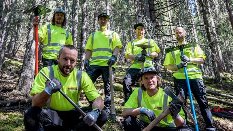 Det profilerte stibyggerprosjektet Tråkk ’n’ roll er i full gang med å bygge et stort nettverk av terrengsykkelstier i Hallingdal. De profesjonelle stibyggerne er sponset med klær fra Blåkläder. Det profilerte stibyggerprosjektet Tråkk ’n’ roll er i full gang med å bygge et stort nettverk av terrengsykkelstier i Hallingdal. De profesjonelle stibyggerne er sponset med klær fra Blåkläder.