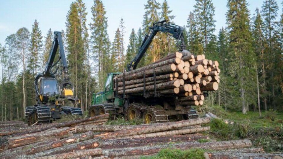Statskog er landets største skogeier med totalt 4,6 millioner dekar produktiv skog fordelt over store deler av landet.
