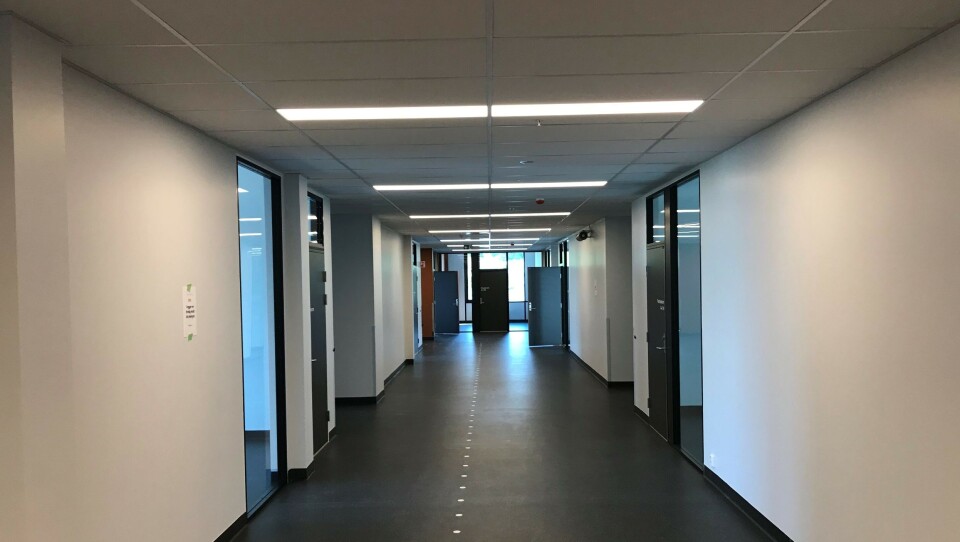 Rockfon, fått montert 11.500 m² akustikkløsninger på Skien vgs.