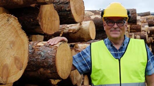 Røntgen sorterer tømmeret bedre, sier direktør Knut Berg i Moelven Våler AS. Røntgen sorterer tømmeret bedre, sier direktør Knut Berg i Moelven Våler AS.