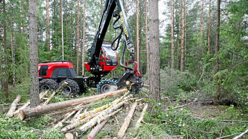 DEBUT: Debut-hogsten til Sverre Berglis Komatsu 901XC er tynning i blandingsbestand, et steinkast fra nedlagte Follum Fabrikker på Hønefoss.