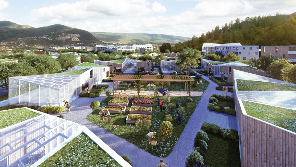 AGROPOLIS: Noenlunde slik ser man for seg at det nye prosjektet på Vikkolljordet i Mjøndalen kan bli. Det planlegges et pilotprosjekt med 800 boliger der innbyggerne kan produsere egen og felles mat under en bondes ledelse.