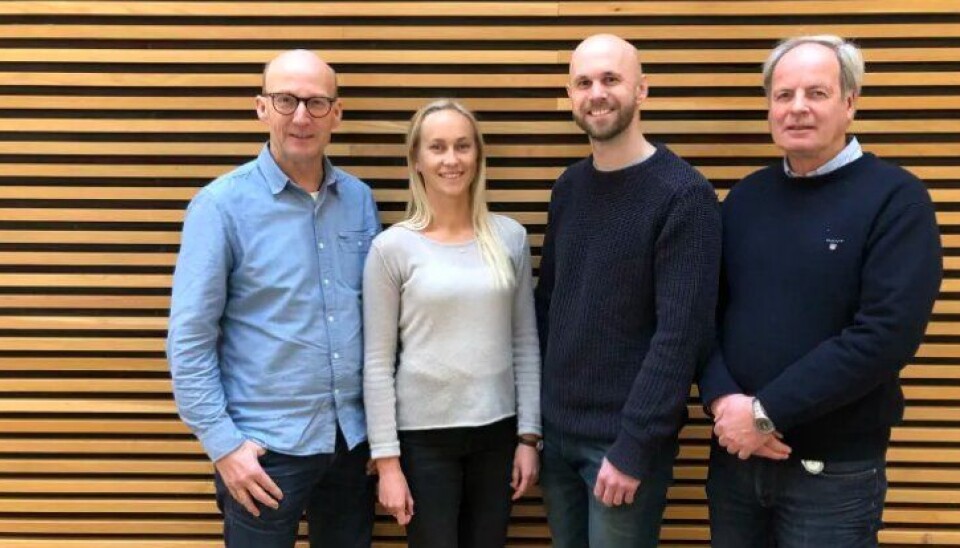Disse norconsulterne står bak idéstudien. Fra venstre: Einar Gert Neslein, Hanne Kristensen Grøn, Henning Leifsen og Harald Hesselberg.
