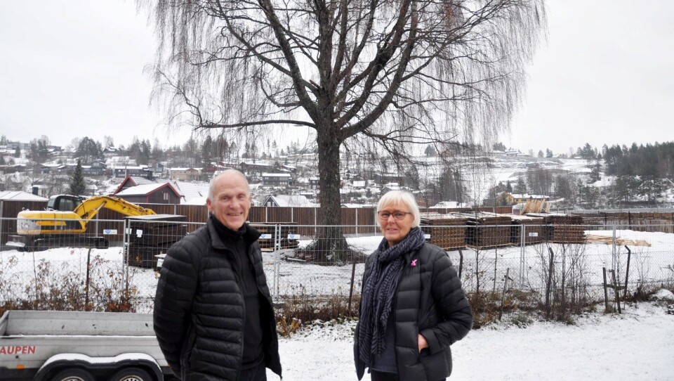 - Fint at det gamle, flotte treet ble reddet, sier ekteparet Paul og Anne-Marte Biseth i Landstadsgate.