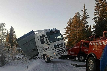 - Norsk transportnæring i fritt fall