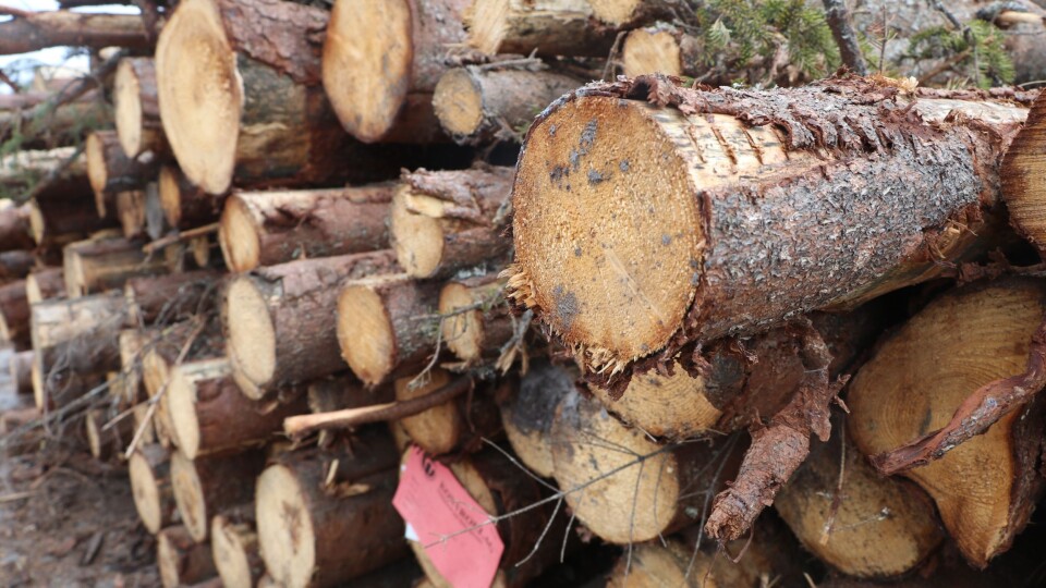 Samferdselsminister Jon Georg Dale ønsker å legge til rette for effektiv tømmertransport. Forsterking av enkelte bruer på fylkesveinettet skal gjøre det letter å frakte tømmeret fra skog til treindustri med 60-tonns vogntog.