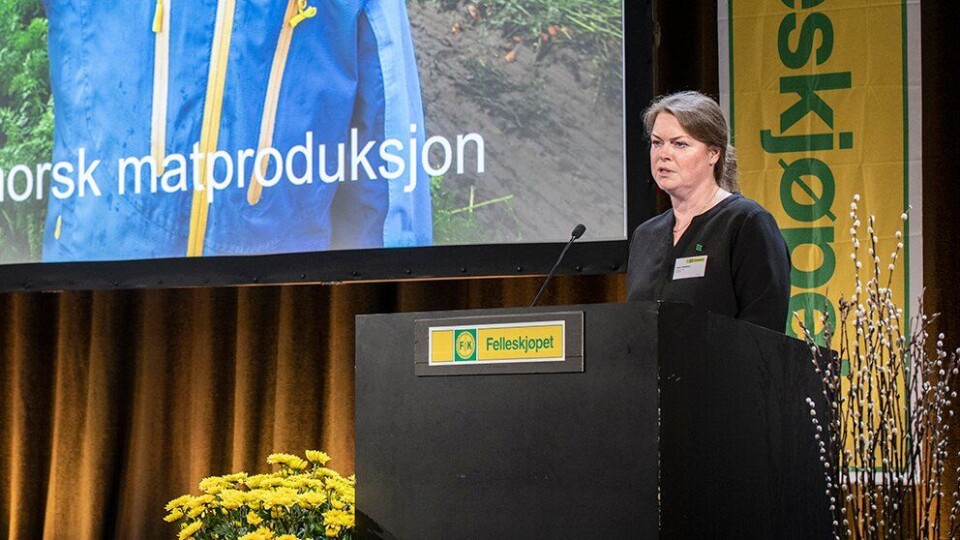 Anne Jødahl Skuterud er gjenvalgt som styreleder i Felleskjøpet Agri.